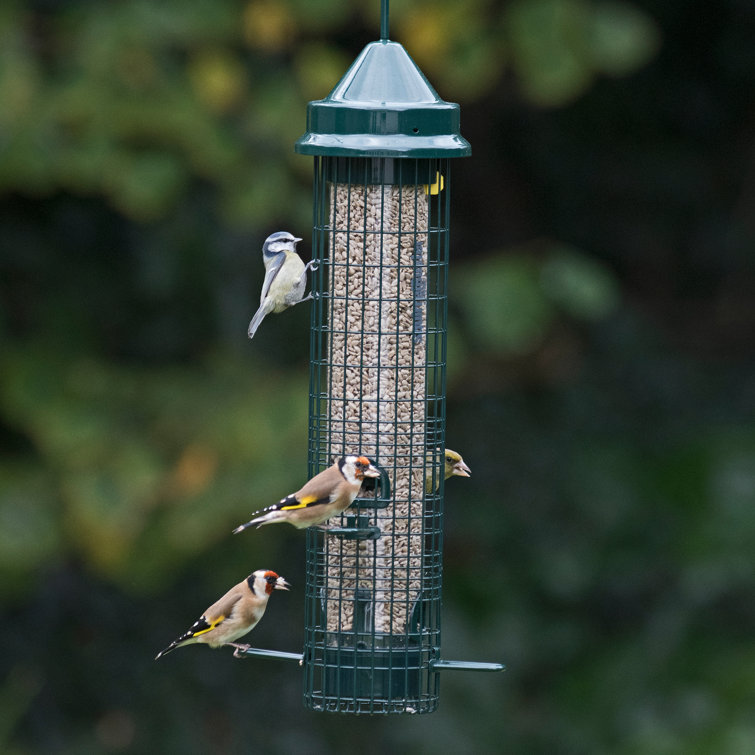 Jacobi Jayne Squirrel Buster Classic Squirrelproof Bird Feeder